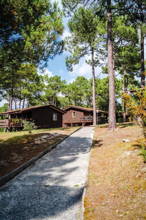 Residence Les Sentes Carcans Exterior foto